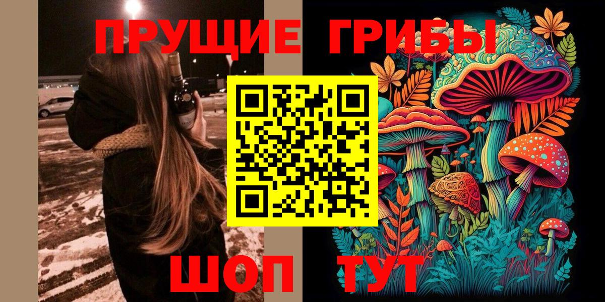 Кубинка  купить  цена  Вход с VPN  Псилоцибиновые грибы Cubensis  Псилоцибиновые грибы мицелий 