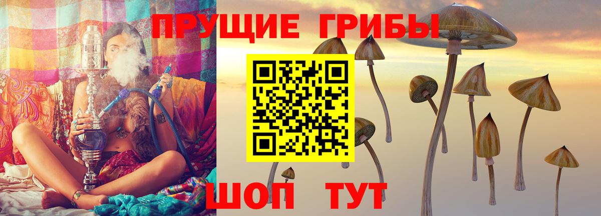 Галлюциногенные грибы Magic Shrooms Кубинка